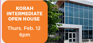 Tall Box Ad Kor INt date time